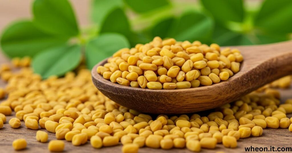 foenegriek-benefits-uses-nutrition-and-future-potential